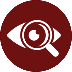 1744781817_Icon 10.png